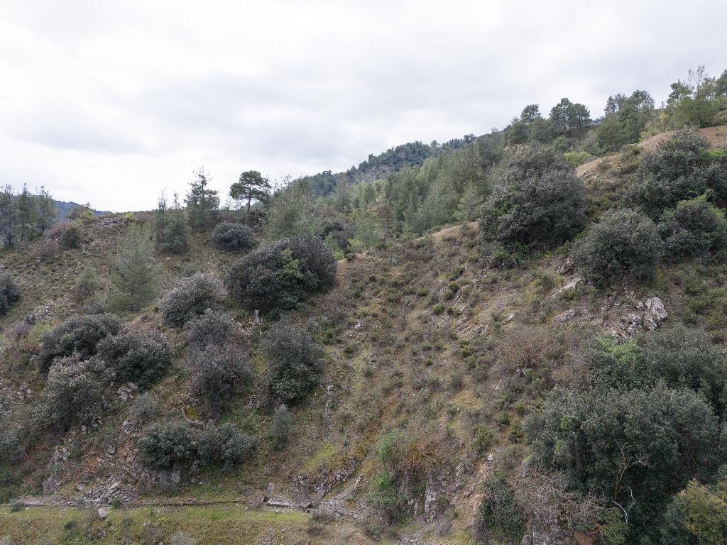 Field-Palaichori Orinis-PR38807
