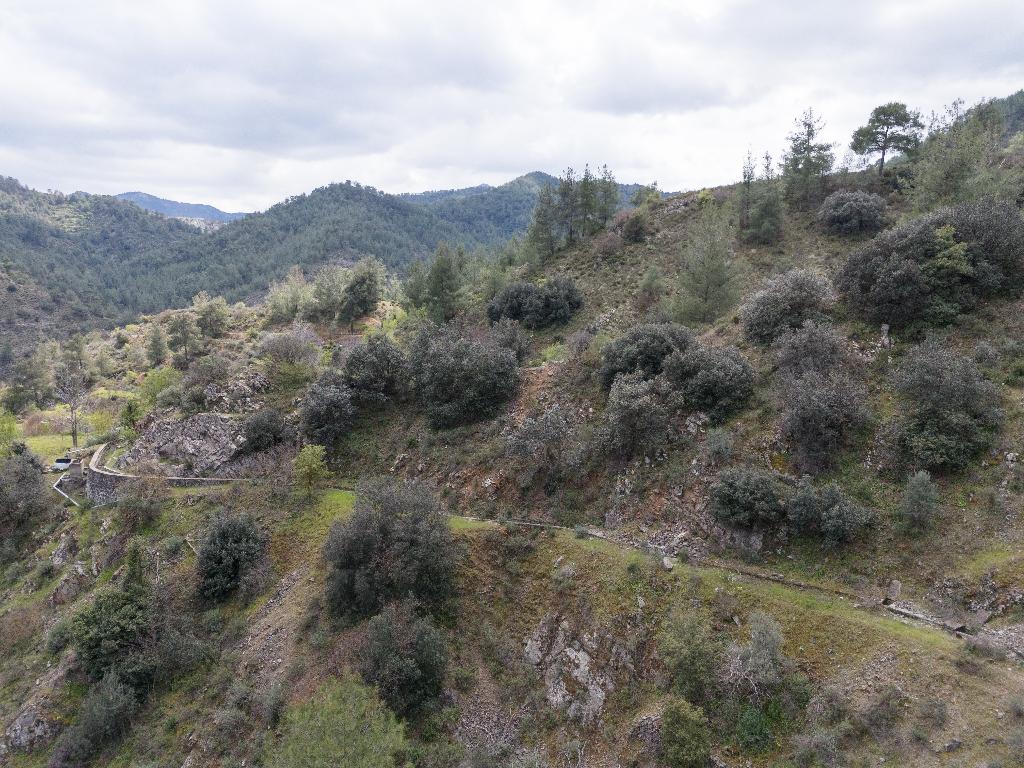 Field-Palaichori Orinis-PR38807