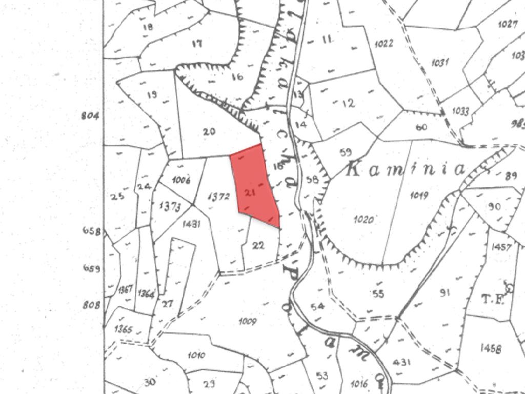 Field-Koilani-PR39279