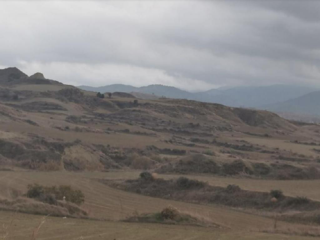 Field-Arediou-PR39740