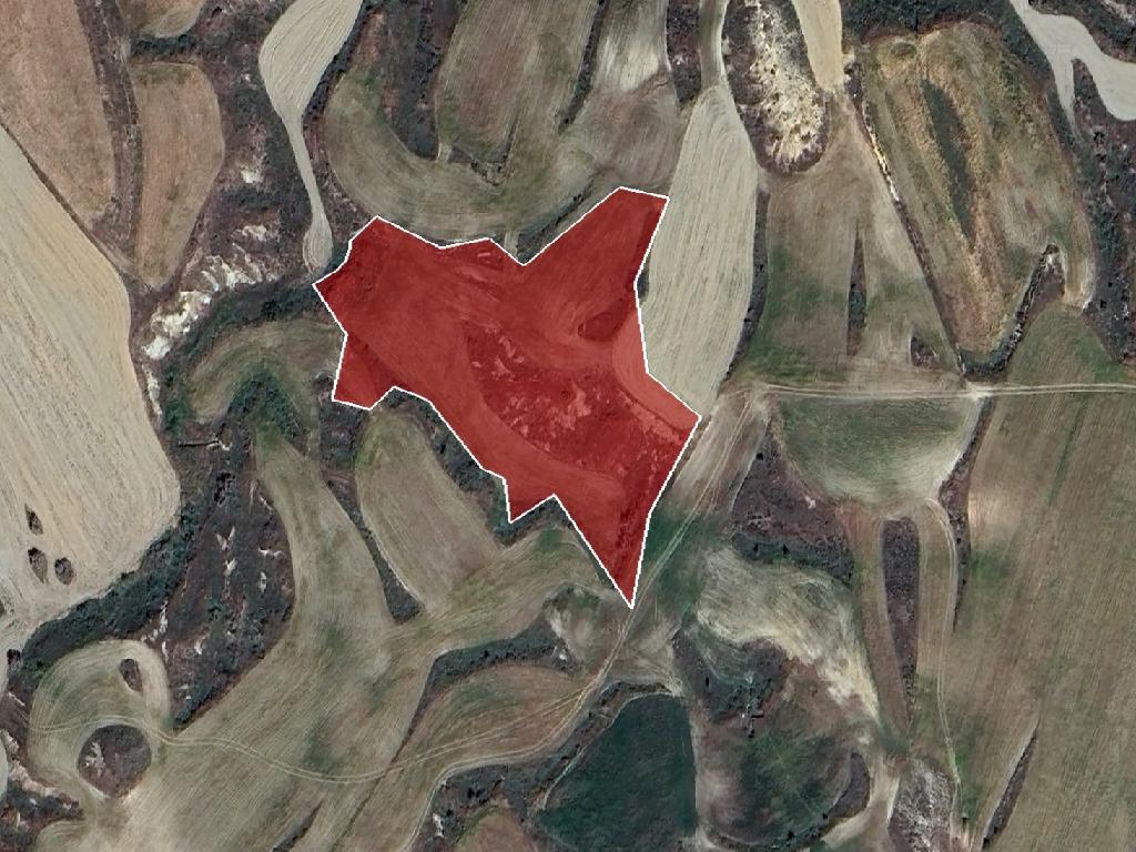 Field-Arediou-PR39740