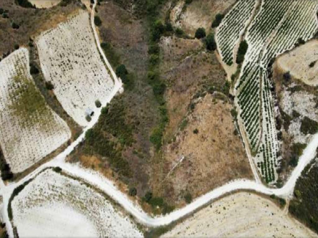 Field-Pachna-PR39878