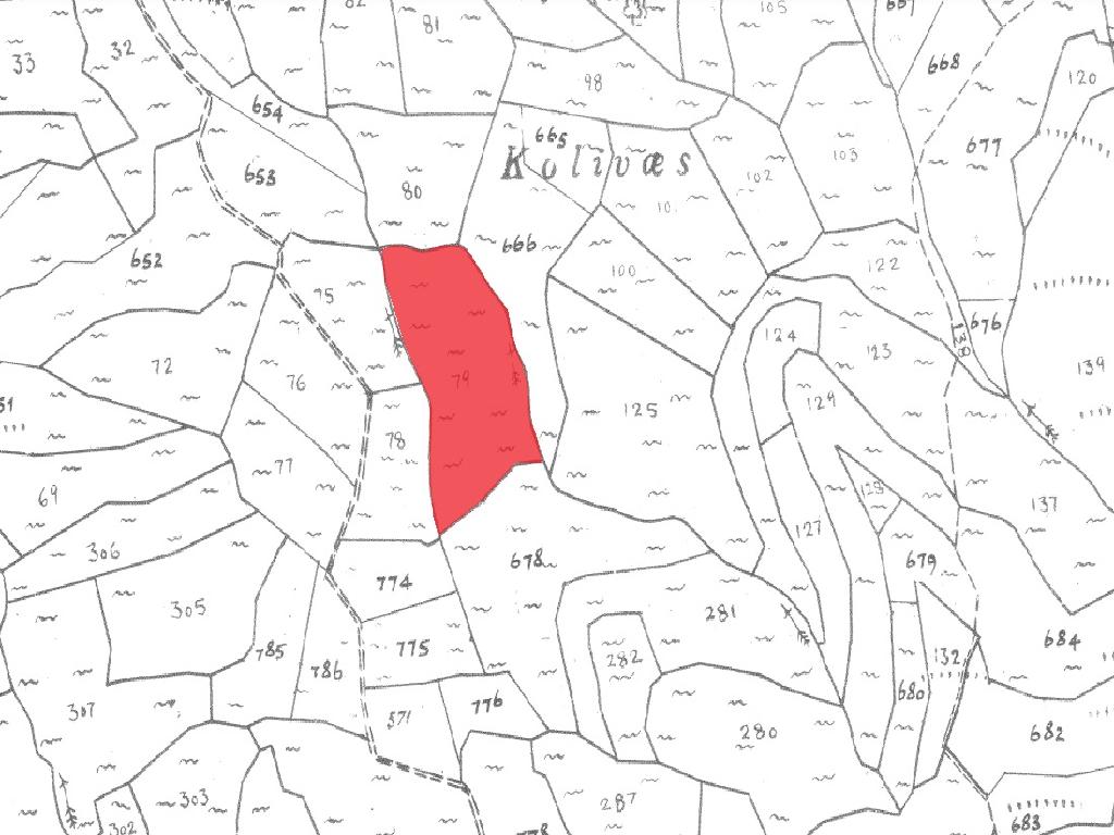 Field-Pachna-PR39878