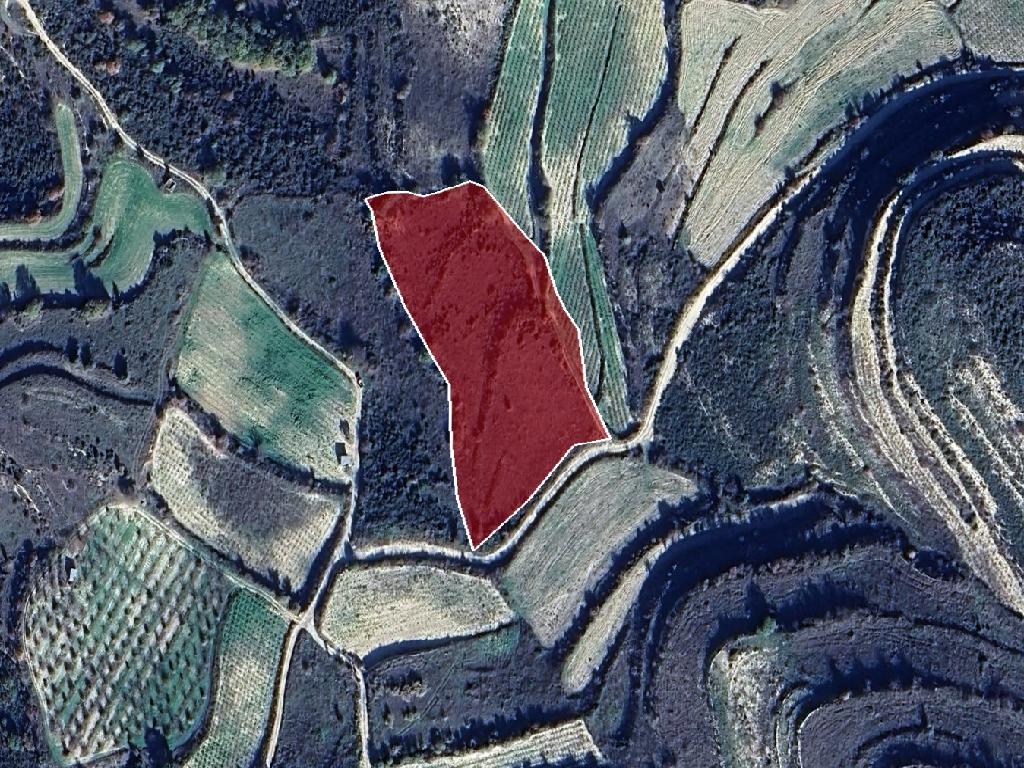 Field-Pachna-PR39878