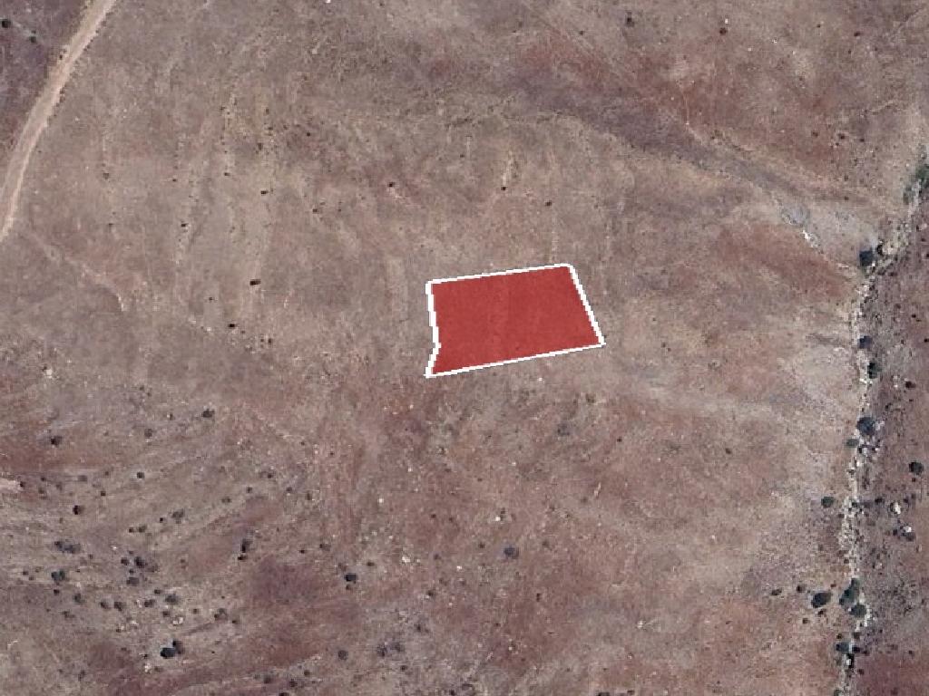 Field-Pentalia-PR41302
