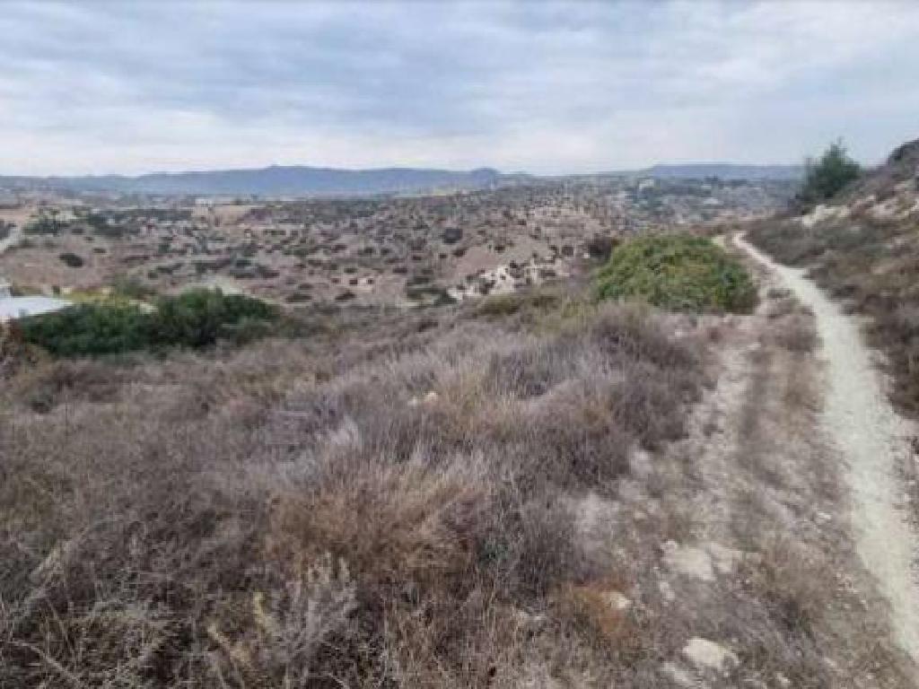 Field-Pano Arodes-PR42277