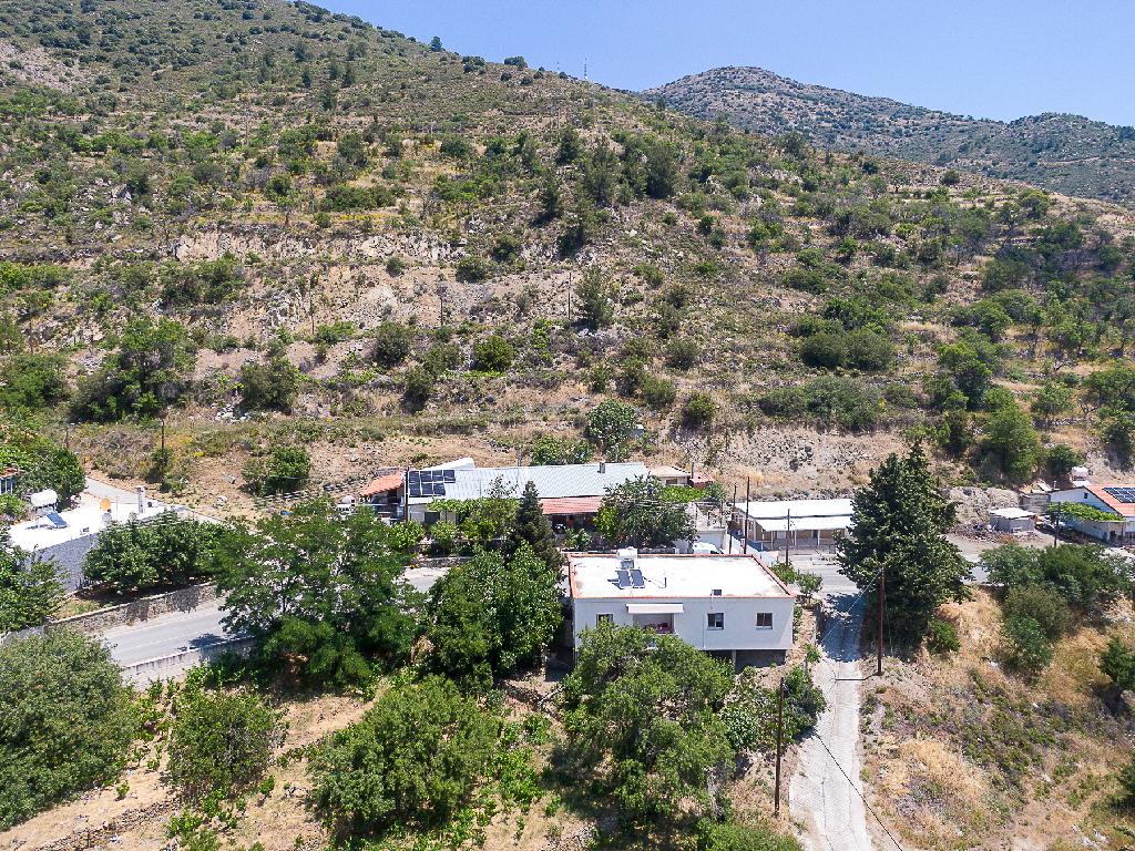 &Kappa;&alpha;&tau;&omicron;&iota;&kappa;ί&alpha; (&Mu;&epsilon;&rho;ί&delta;&iota;&omicron;) - X&alpha;&nu;&delta;&rho;&iota;ά, &Lambda;&epsilon;&mu;&epsilon;&sigma;ό&sigmaf;