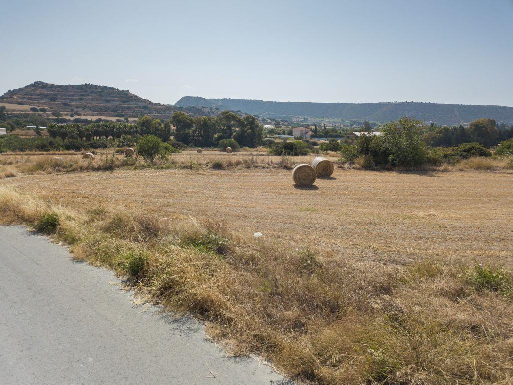 Field-Pissouri-PR12832