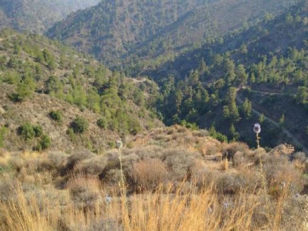 Field-Dierona-PR12142