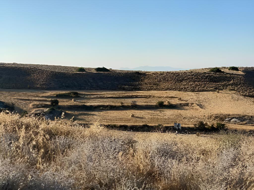 Field-Pera-PR32536