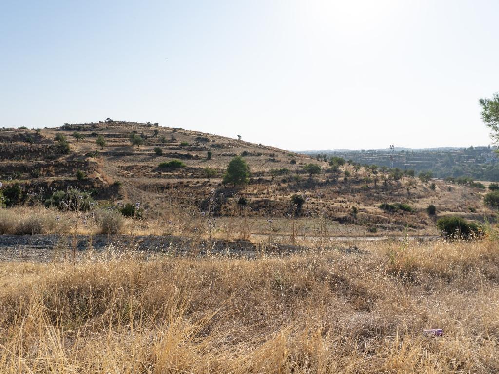 Field - Kalo Chorio (Oreinis), Nicosia