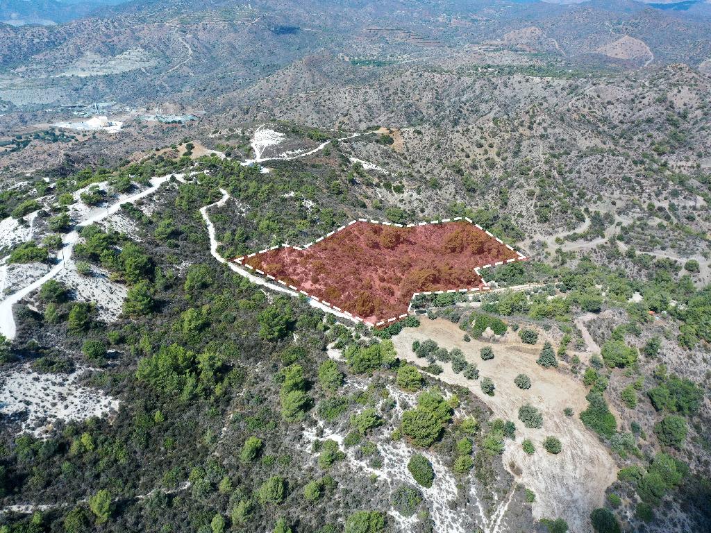 Field - Asgata, Limassol