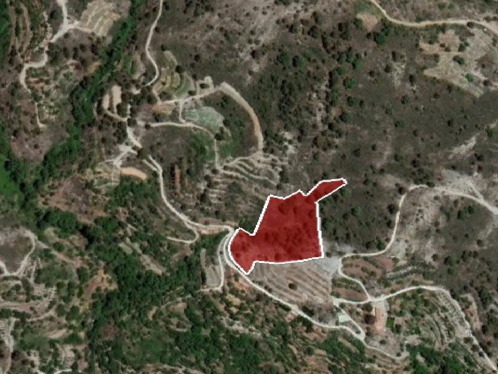 Field-Agridia-PR36377