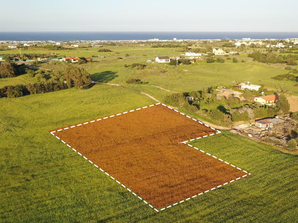 Field-Paralimni-PR36790