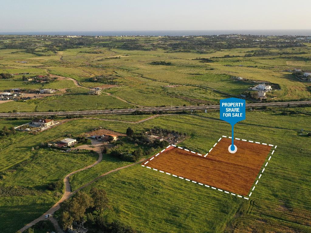 Field-Paralimni-PR36790