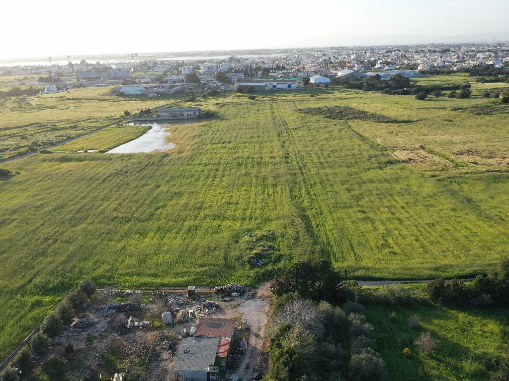 Field-Paralimni-PR36790