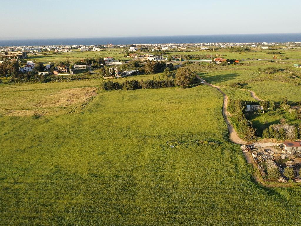 Field-Paralimni-PR36790