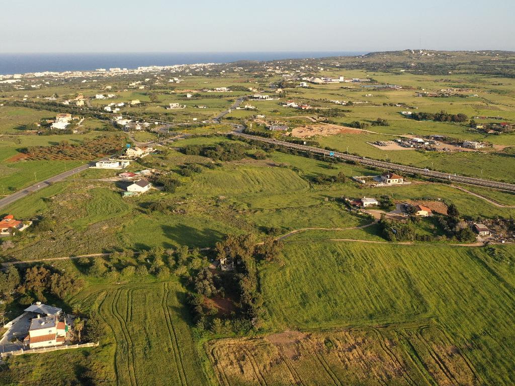 Field-Paralimni-PR36790