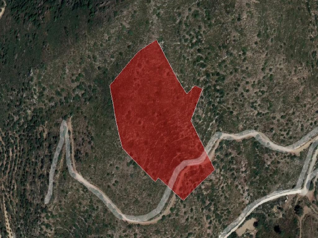 Field-Ora-PR36086