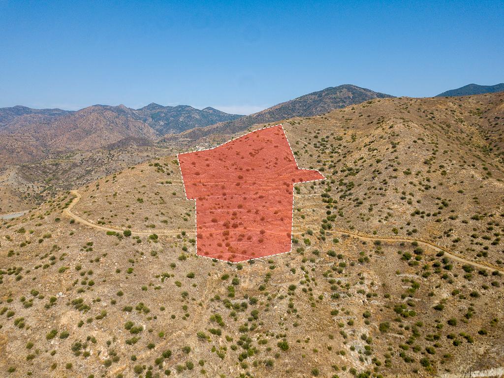 Field-Ora-PR36086