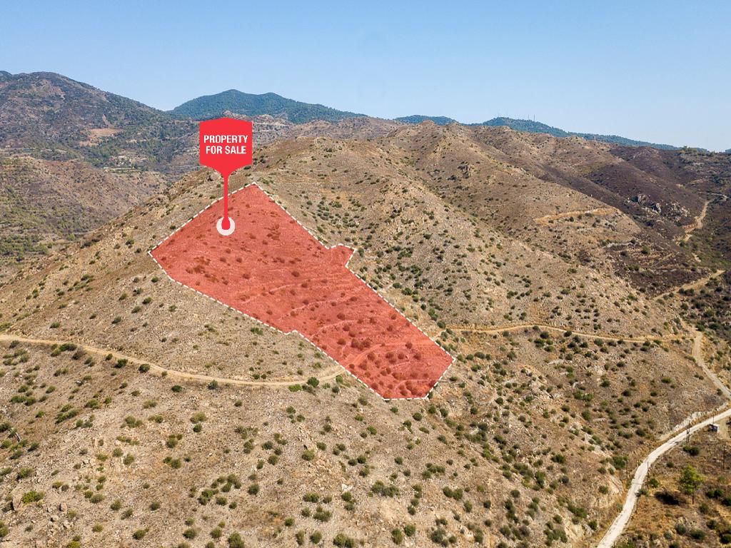 Field-Ora-PR36086