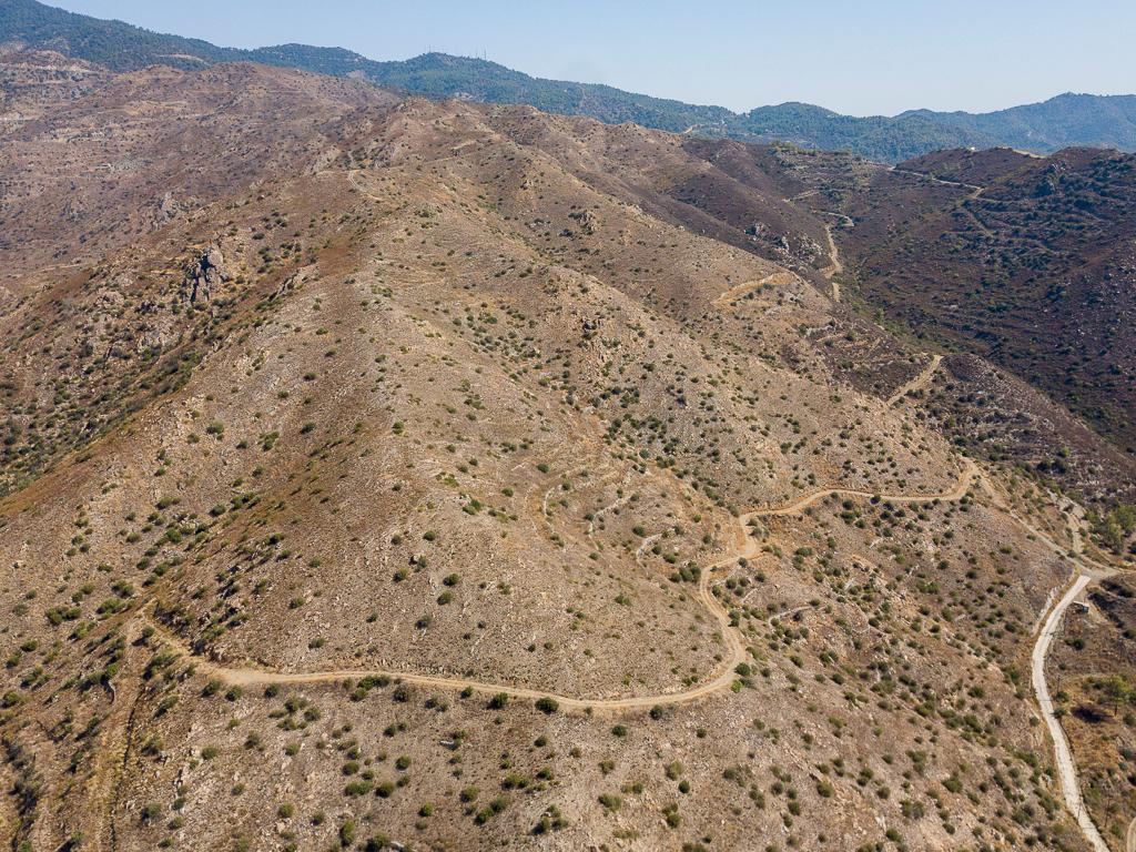 Field-Ora-PR36086