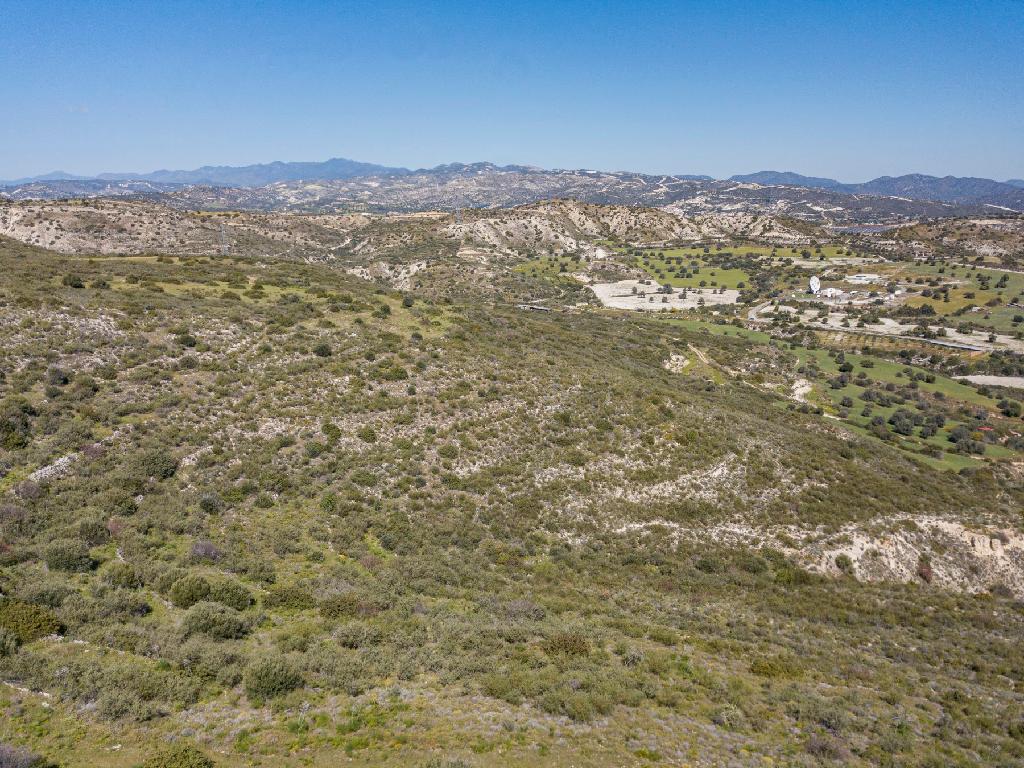 Field (Share) - Agios Theodoros, Larnaca