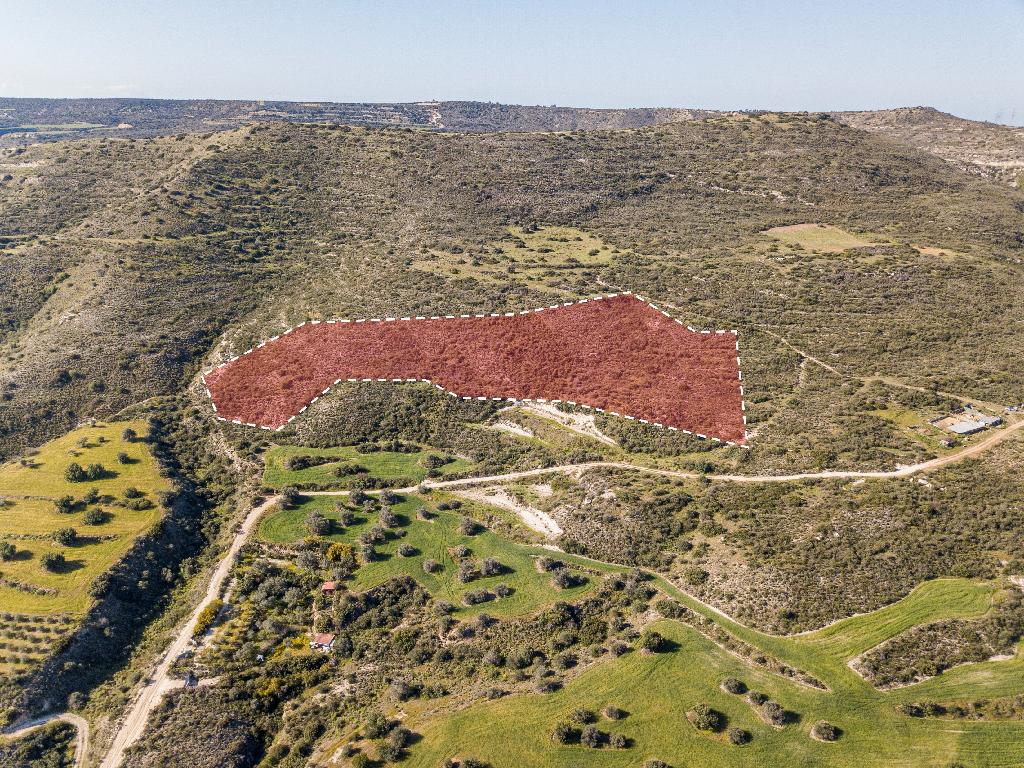 Field (Share) - Agios Theodoros, Larnaca