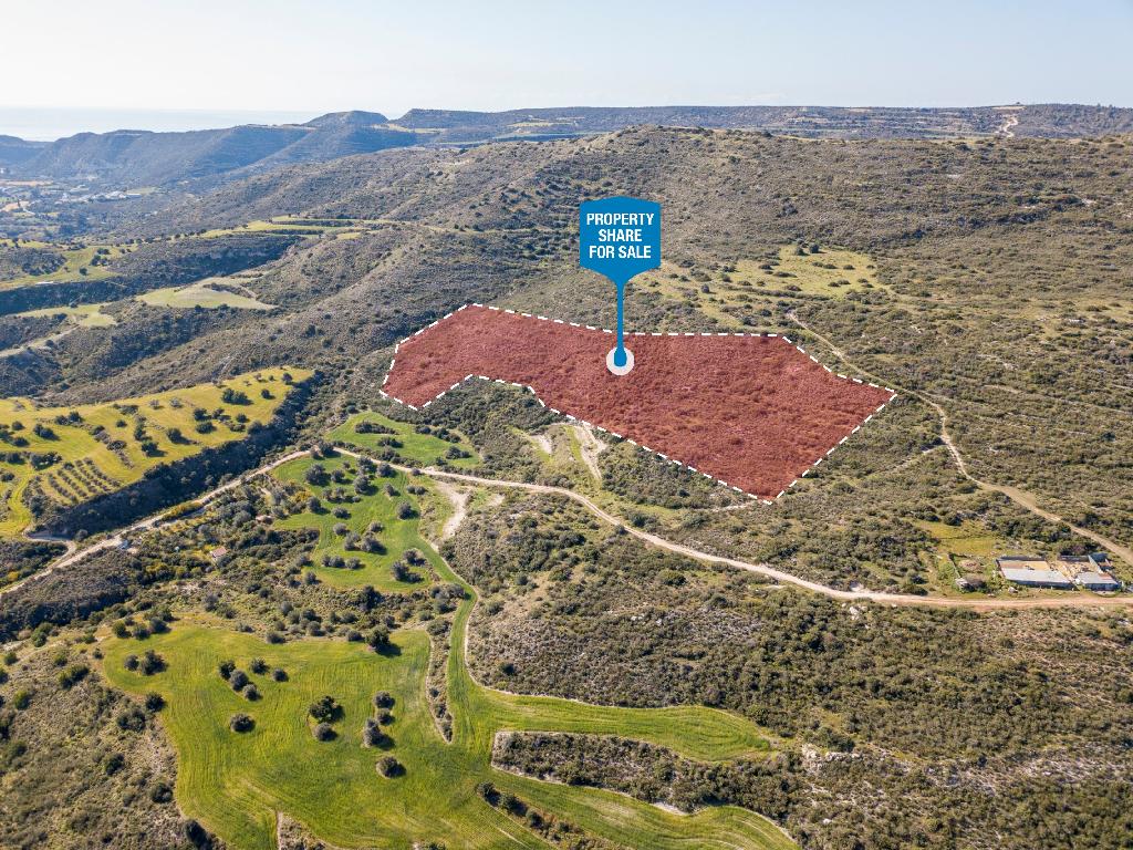 Field (Share) - Agios Theodoros, Larnaca