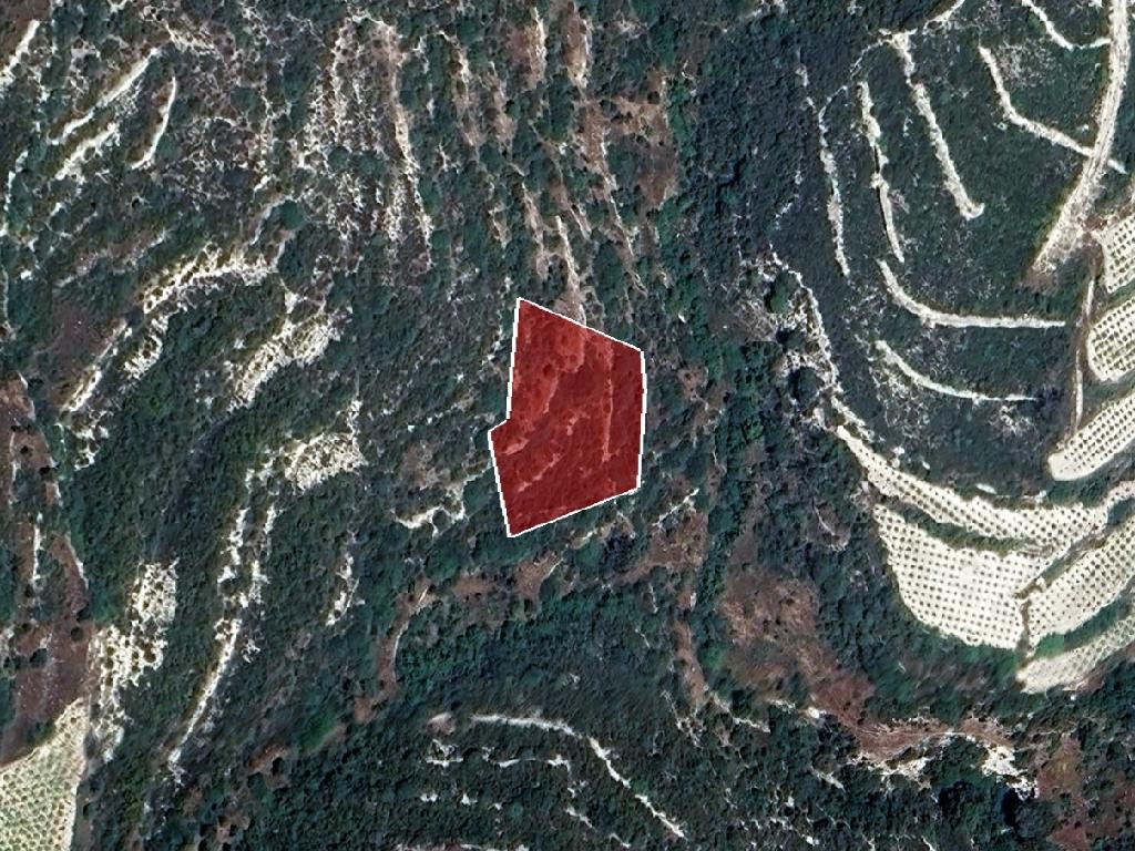 Field-Koilani-PR39278