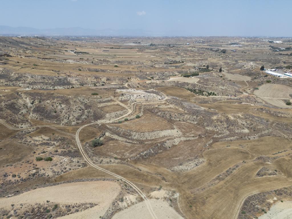 Field - Arediou, Nicosia