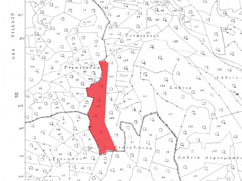 Field (Share) -Tochni, Larnaca