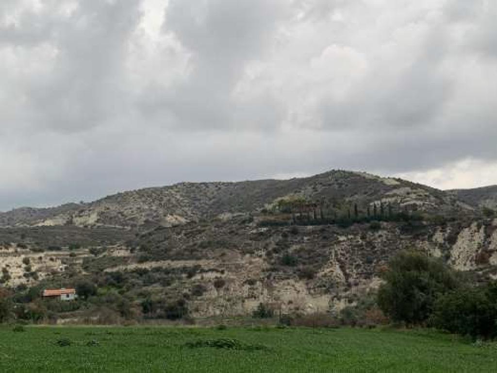 Field (Share) -Tochni, Larnaca