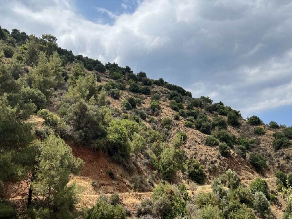 Field-Kalopanagiotis-PR40347