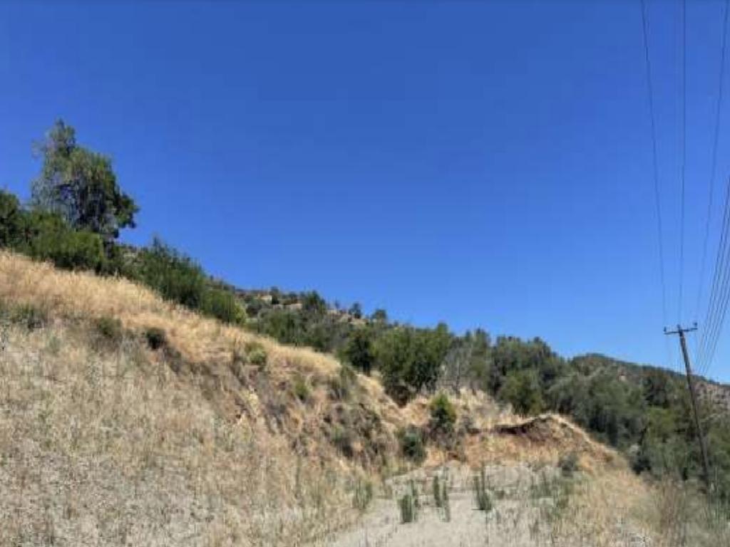 Field-Kalopanagiotis-PR40347