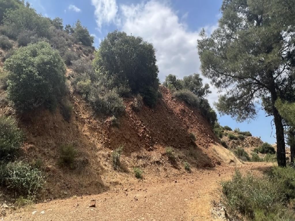Field-Kalopanagiotis-PR40347