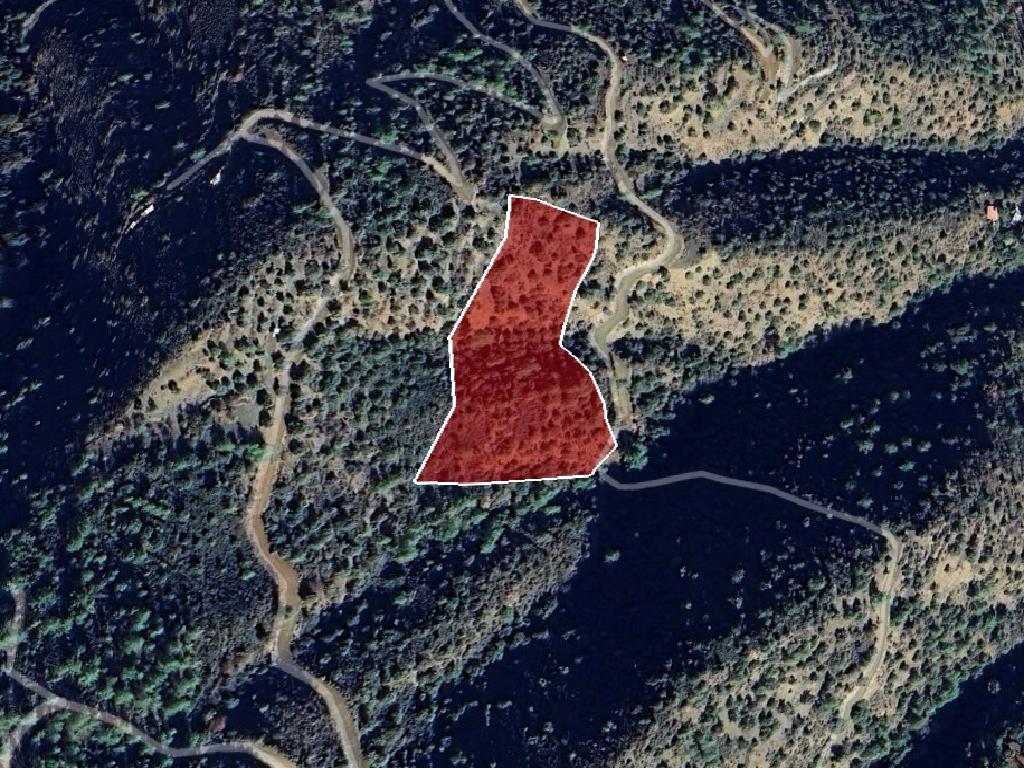 Field-Kalopanagiotis-PR40347