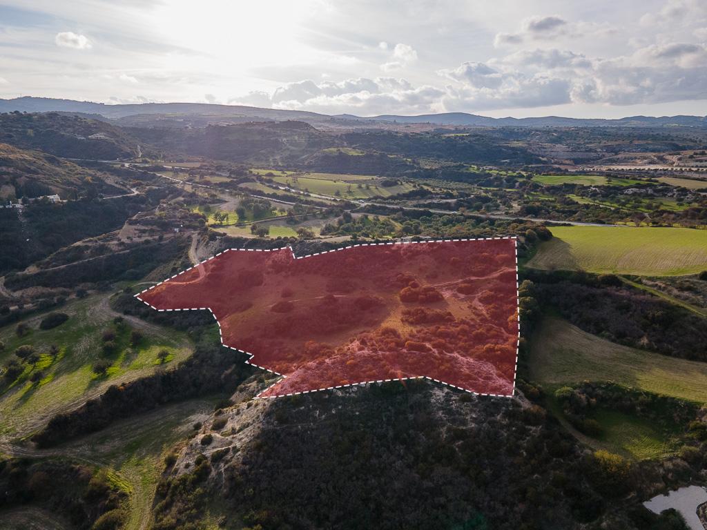 Field-Drouseia-PR40921