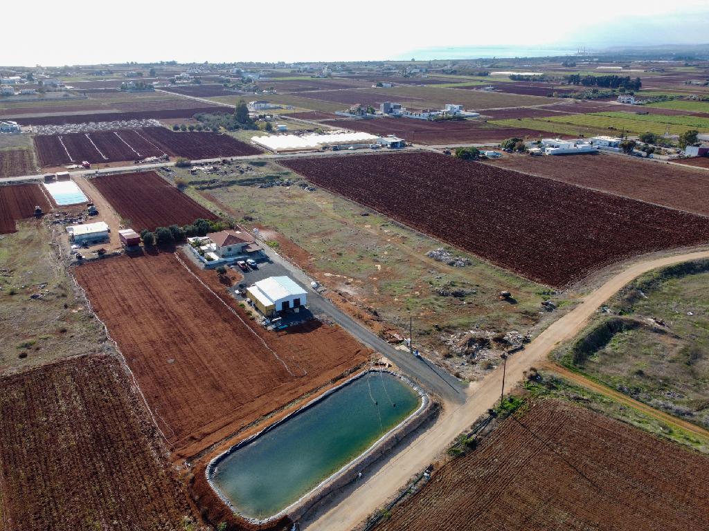 Field - Xylofagou, Larnaca
