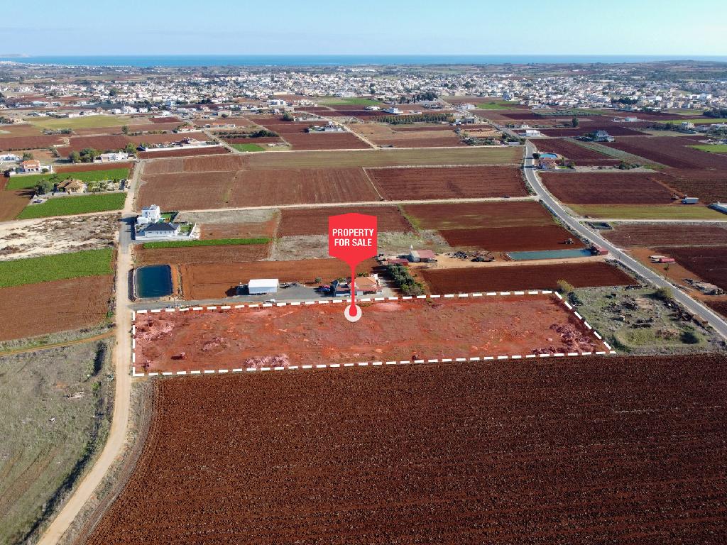 Field - Xylofagou, Larnaca