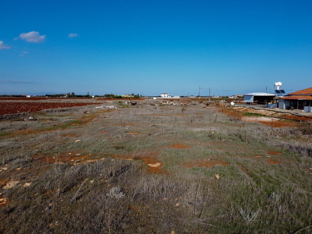Field - Xylofagou, Larnaca