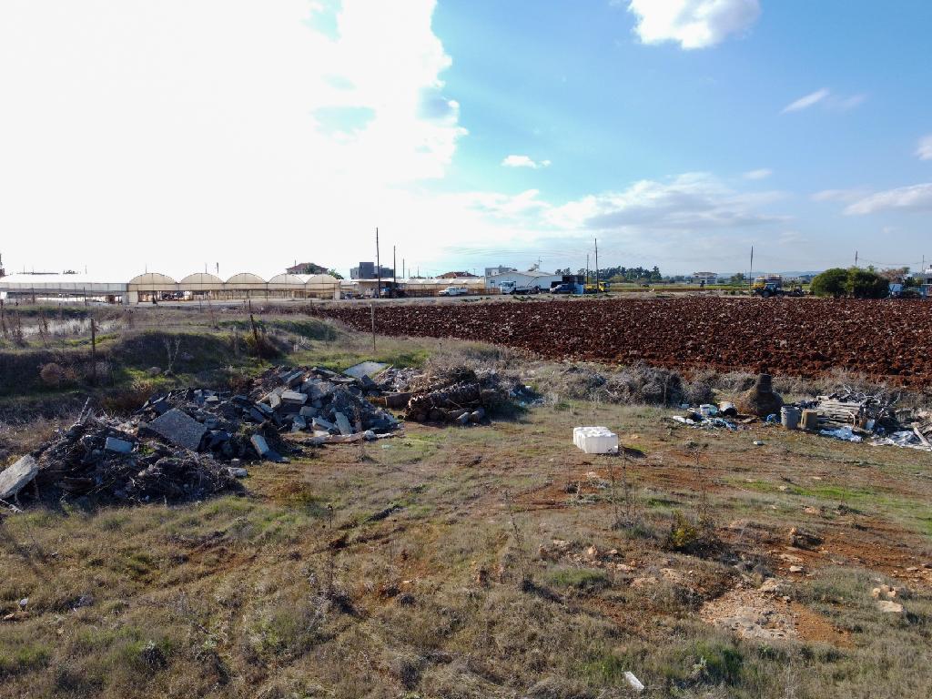 Field - Xylofagou, Larnaca