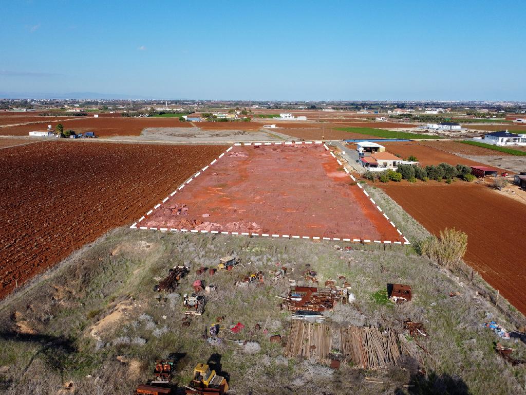 Field - Xylofagou, Larnaca