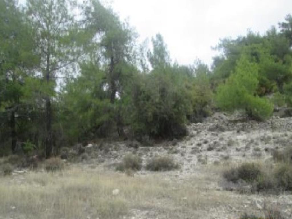 Field-Salamiou-PR42272