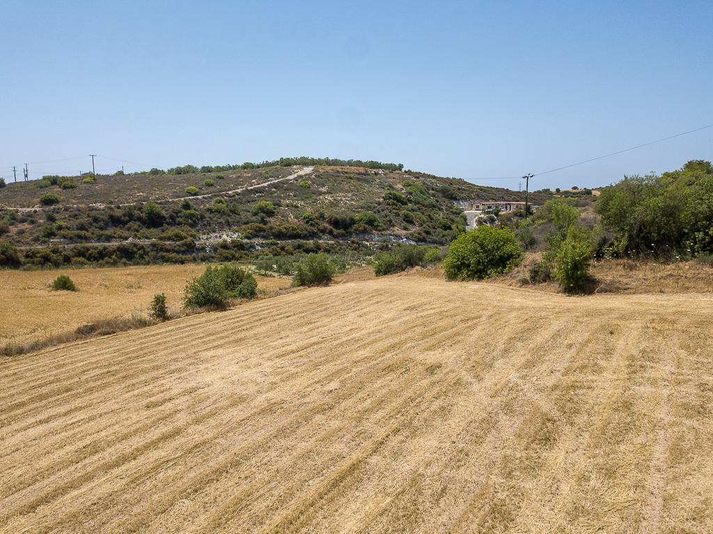 Field - Armou, Paphos