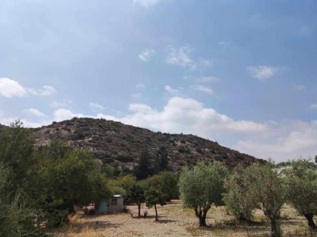 Χωράφι (μερίδιο)-Φασούλα, Λεμεσός
