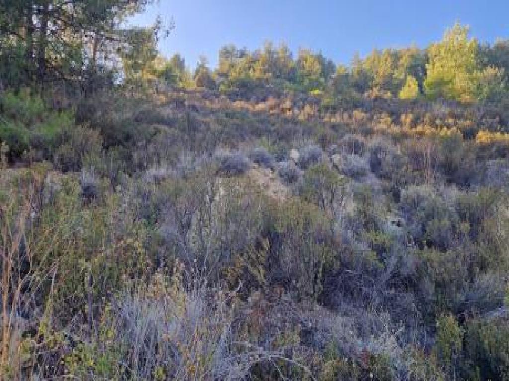 Field (Share) - Pelendri, Limassol