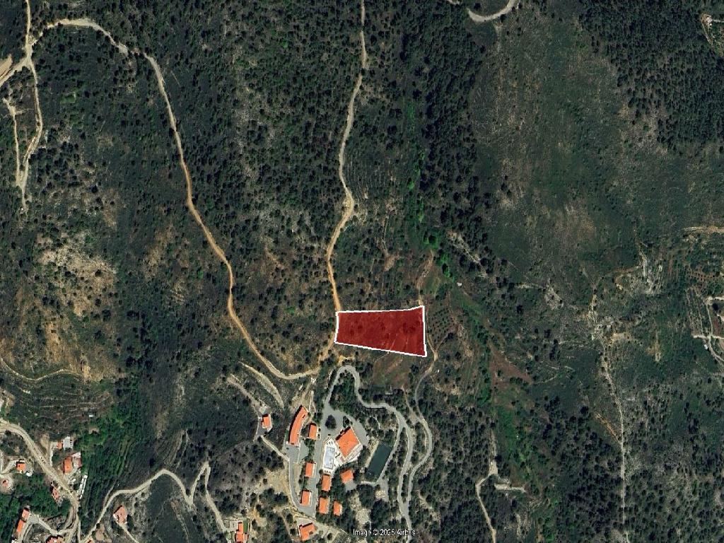 Field (Share) - Pelendri, Limassol