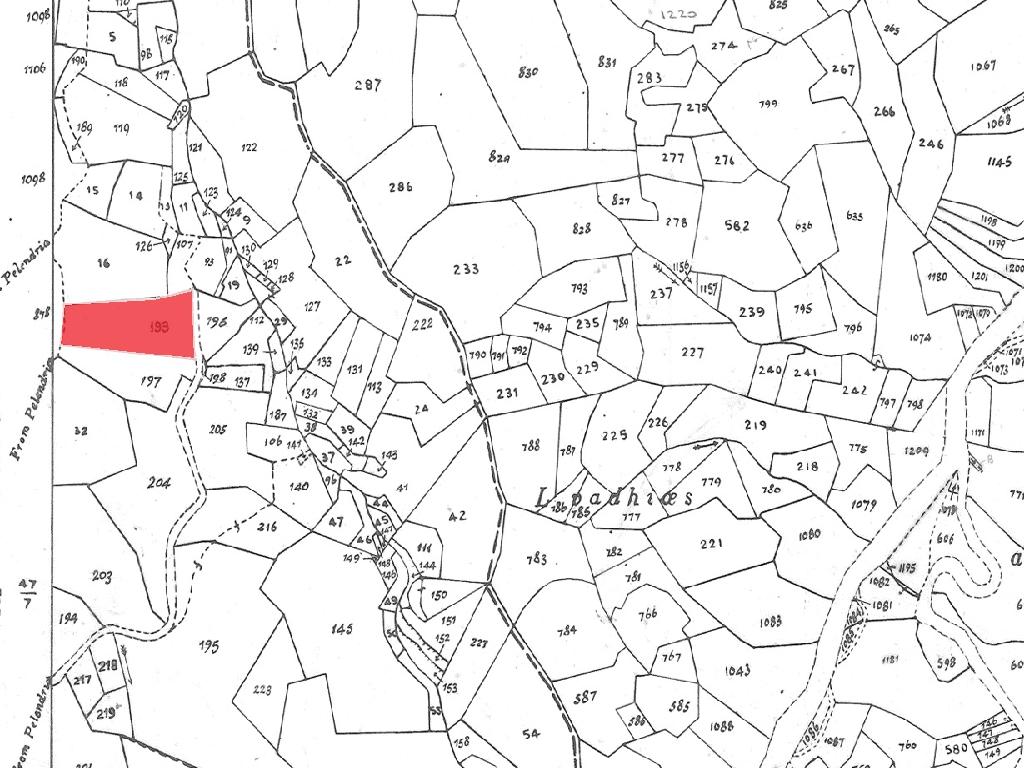 Field-Pelendri-PR43305
