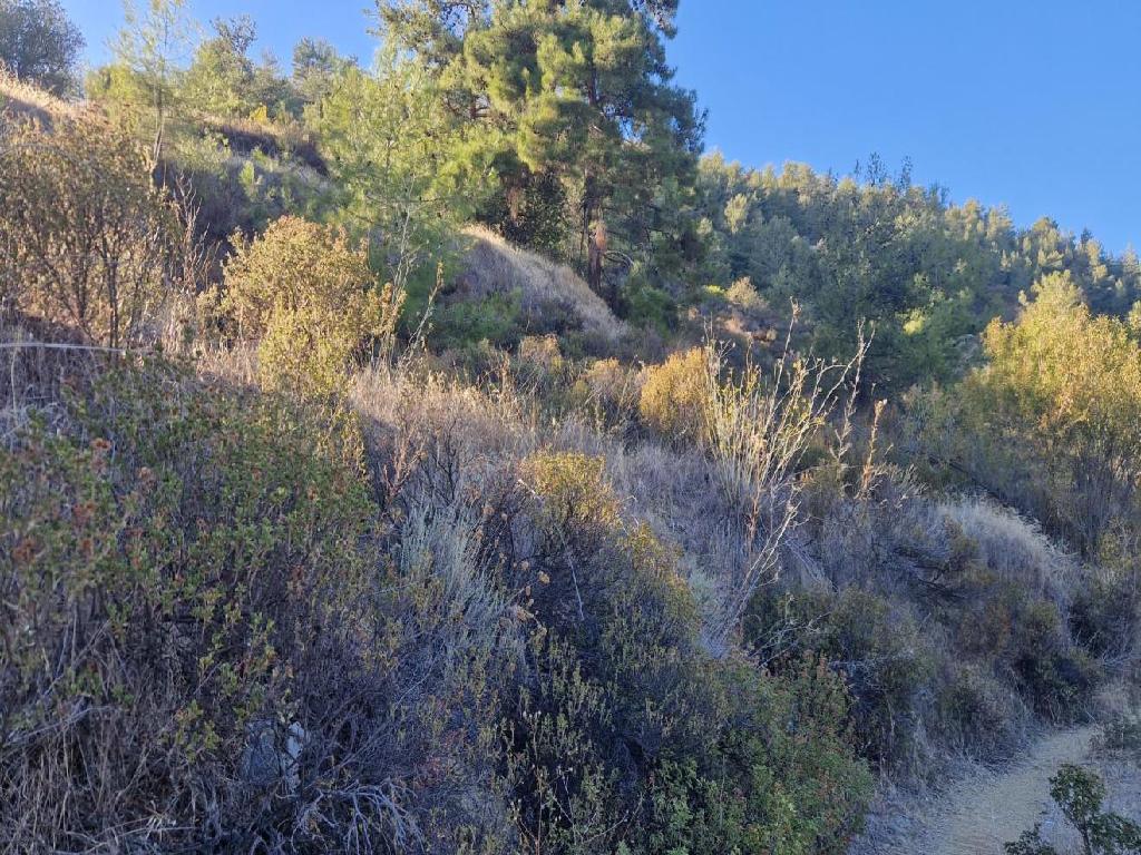 Field (Share) - Pelendri, Limassol